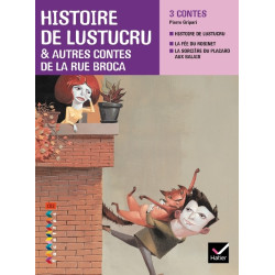 FACETTES BIBLIOTHEQUE CE2 -...