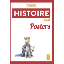 POSTERS HISTOIRE CM1