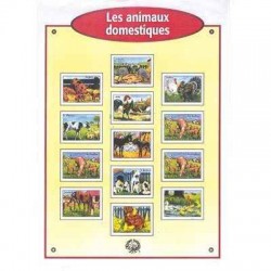 Images 6x8 bte 100 animaux...